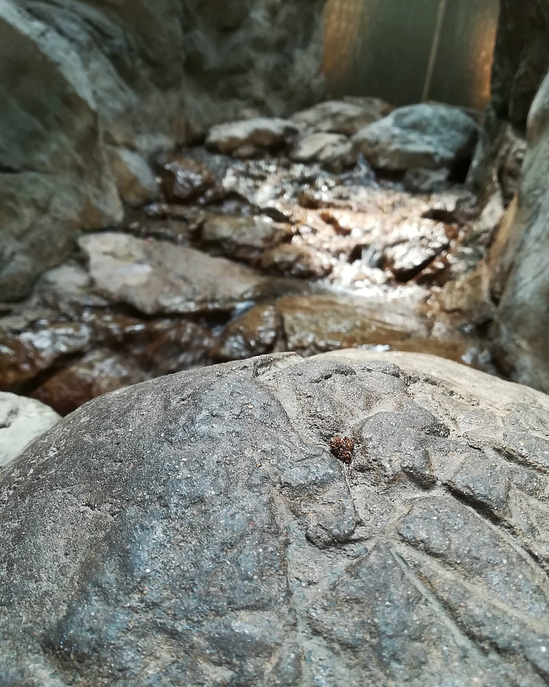 Piedra, piedra y agua, Fondo de pantalla de teléfono HD | Peakpx