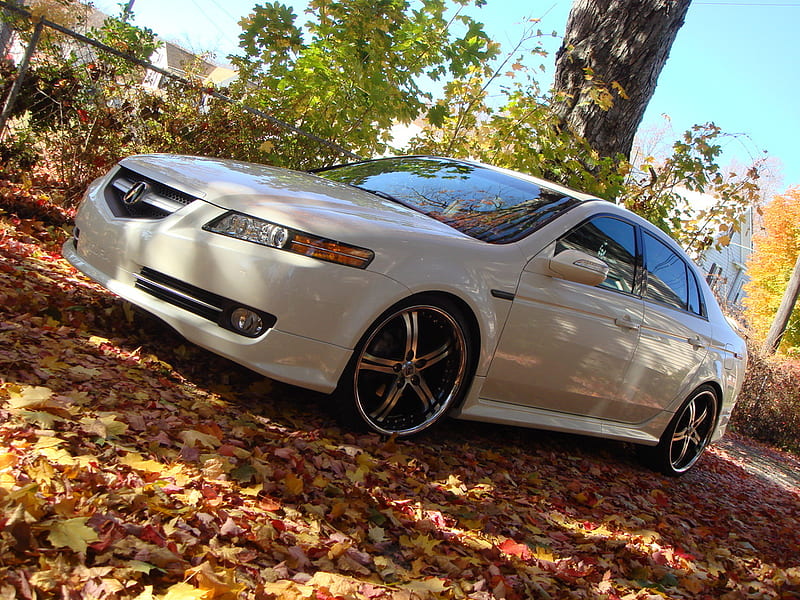 White Acura sedan, car, Acura TSX, Stance, tuning HD wallpaper | Wallpaper  Flare