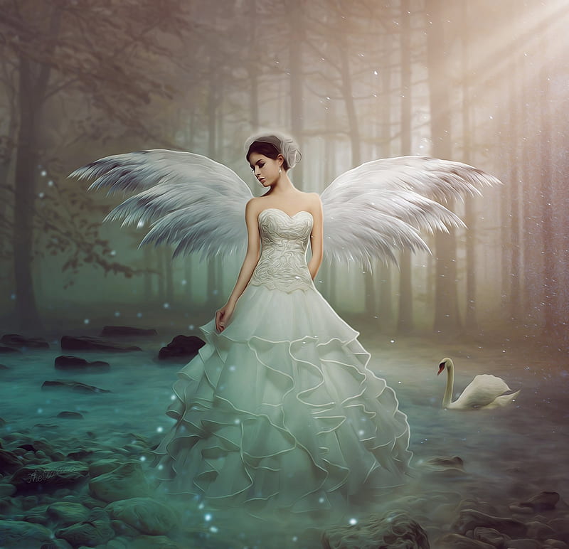 Girl in White Angel Dress  Free Stock Photo