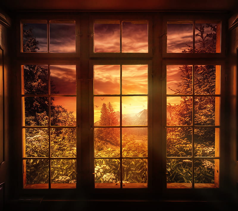 Nature Window, good night, processing, sunset, HD wallpaper
