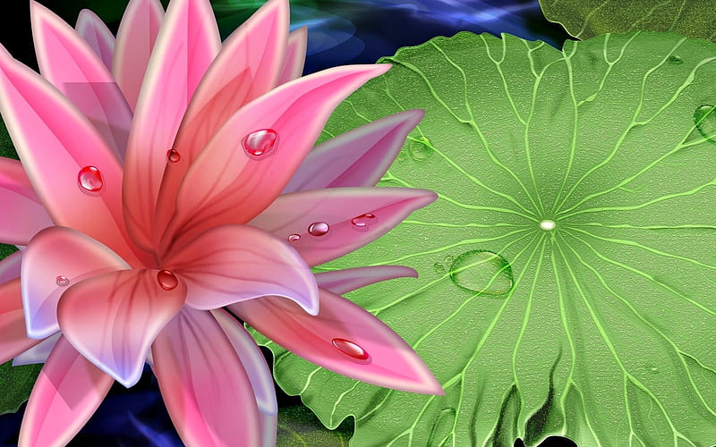 Lotus, luminos, green, water drops, lily, pink, vector, leaf, HD wallpaper