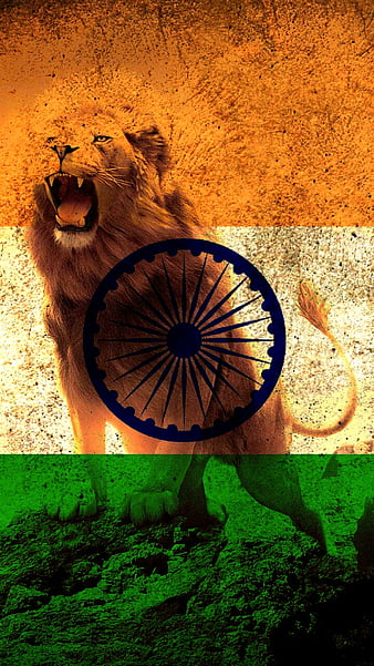 India indian flag, HD phone wallpaper | Peakpx