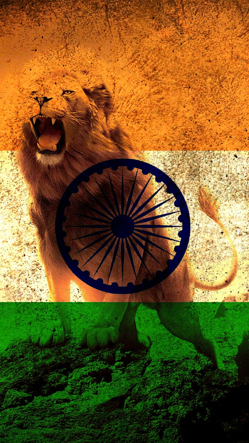 HD indian flag wallpapers | Peakpx