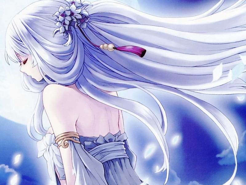 moon girl anime, fantsy arts, moon, girl, anime, HD wallpaper moon girl anime, fantsy arts, moon, girl, anime, HD wallpaper