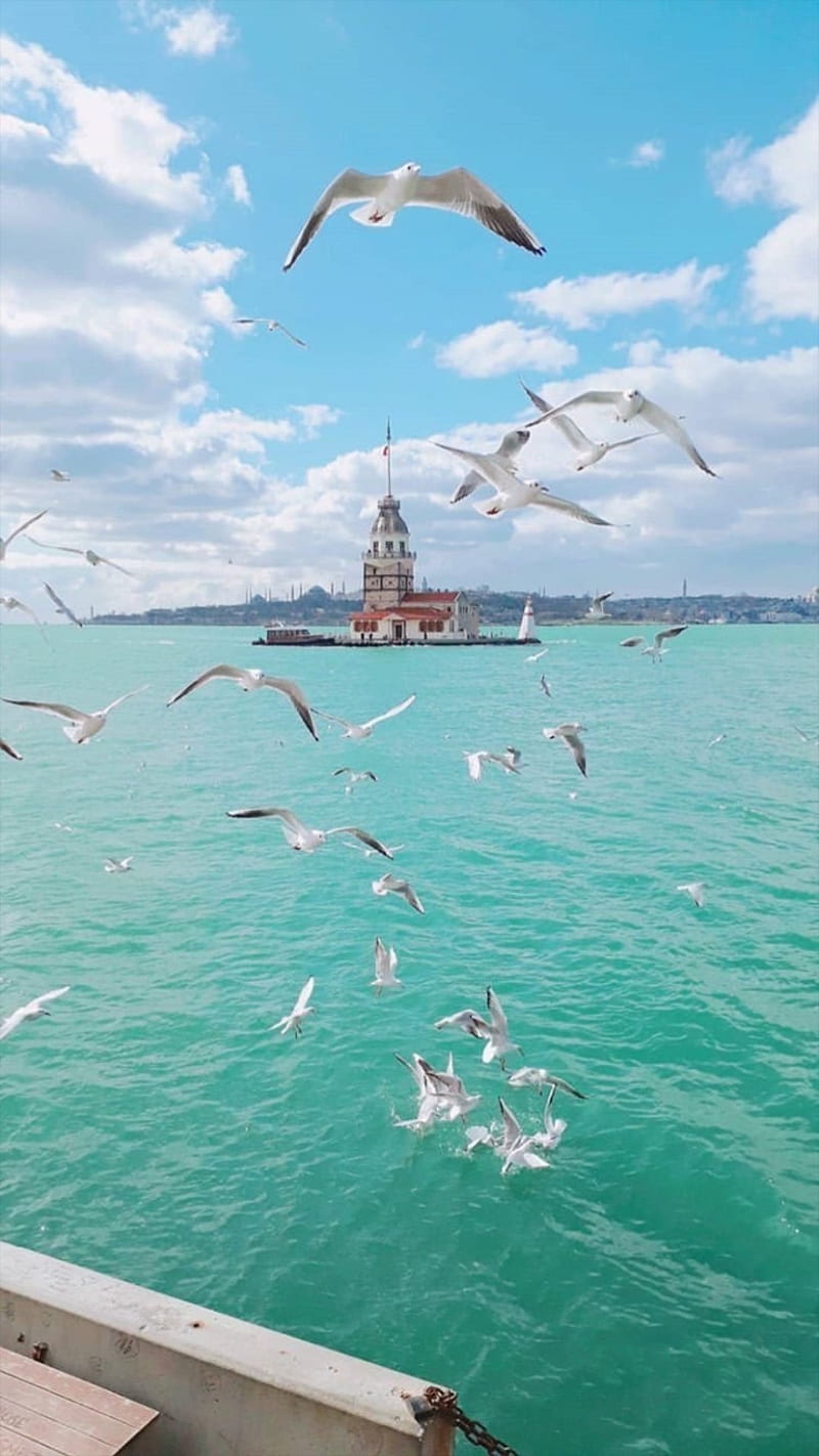 Istanbul, aviation, sea, water, winter, yachts, HD phone wallpaper