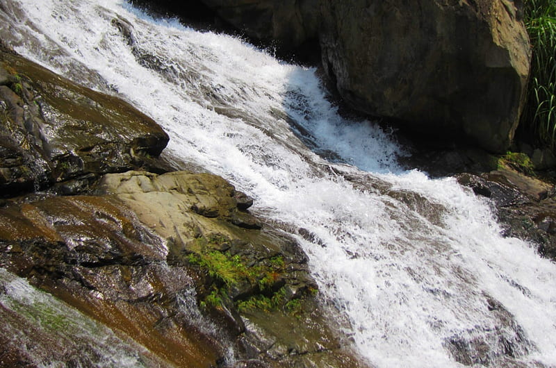Waterfall, acute water flow, rock, mosses, HD wallpaper