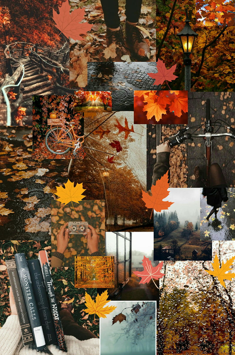 fall collage wallpaper  Cute fall wallpaper Desktop wallpaper fall Fall  wallpaper