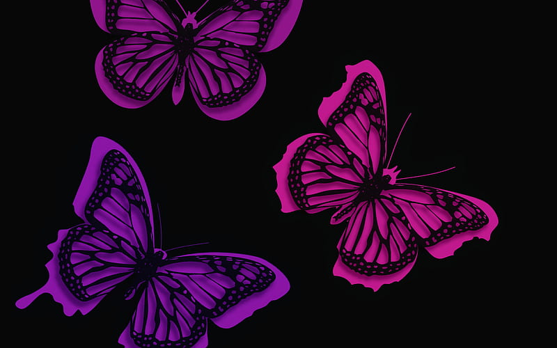 Butterflies, black background, minimal, creative, HD wallpaper