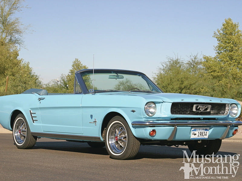 Ford Mustangs 1965 1972 Special Editions, lite blue, classic, conv, ford, HD wallpaper