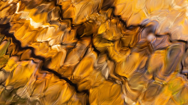 Yellow Brown Paint Stripes Distortion Abstract, HD wallpaper