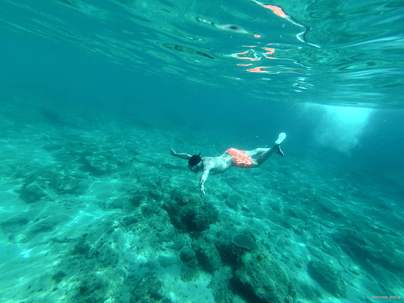 Diving, funny, nature, ocean, snorkeling, water, HD wallpaper