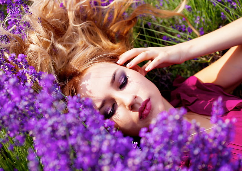 Lavender dreams, pretty, dreams, lavender, bonito, woman, hair, nice, flowers, lovely, fresh, sleeping, freshness, girl, purple, summer, lady, meadow, field, HD wallpaper