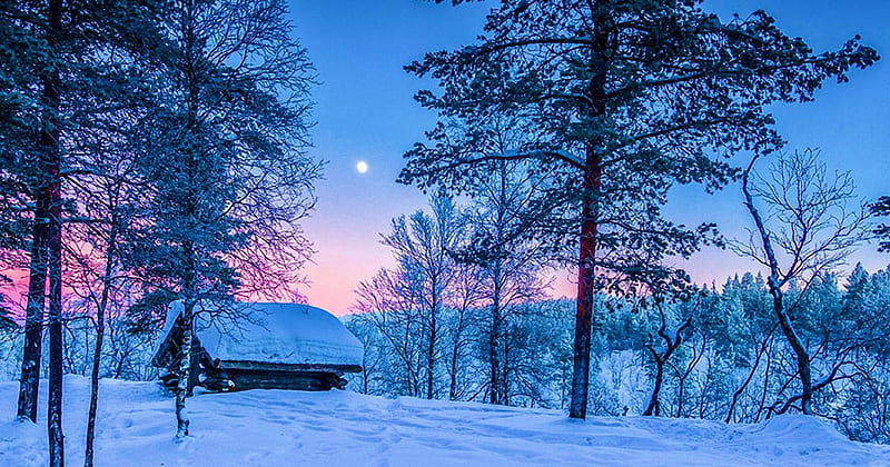 Winter in Scandinavia, snow, sweden, cabin, sunset, sky, trees, HD wallpaper