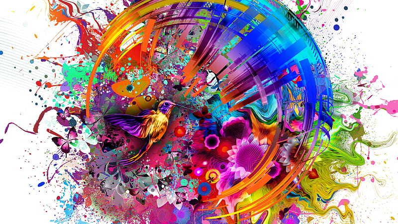multicolors flashy bird abstract, HD wallpaper