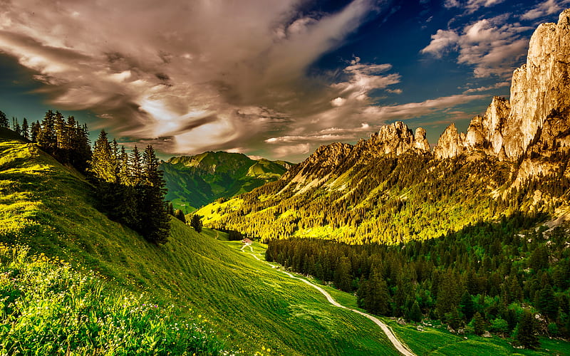 Switzerland, Europe, mountains, Swiss Alps, forest, evening, Alps, HD wallpaper
