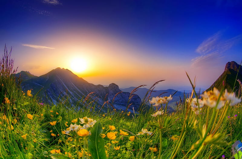 Epic Gantrisch, glow, sun, grass, bonito, spring, sky, freshness, mountain, rays, wildflowers, sunrise, meadow, HD wallpaper