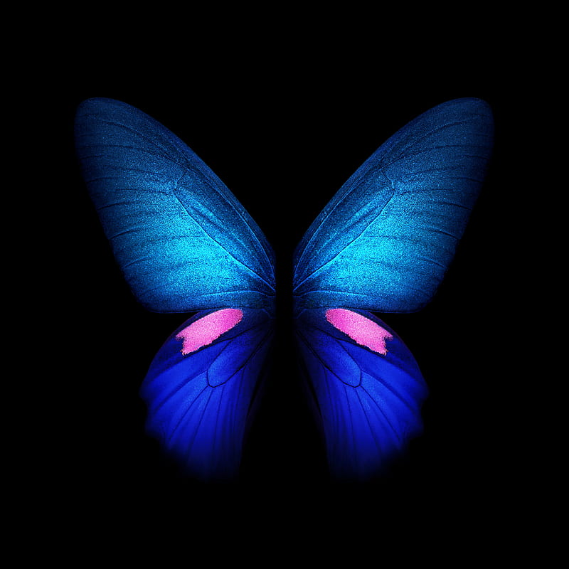 Galaxy Fold, blue, neon, rainbows, sign, signs, HD phone wallpaper