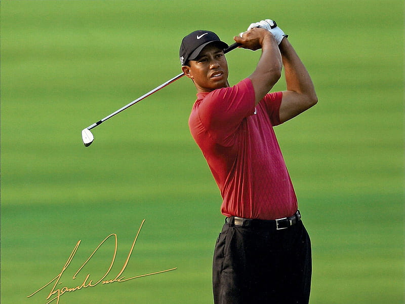 Tiger Wood, expert, male, dress, the best, green, golf player, HD wallpaper