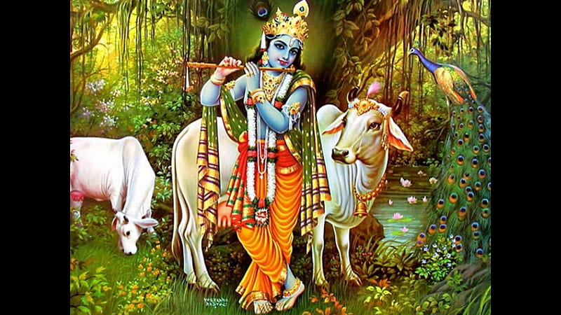 Krishna With Animals Krishna, HD wallpaper