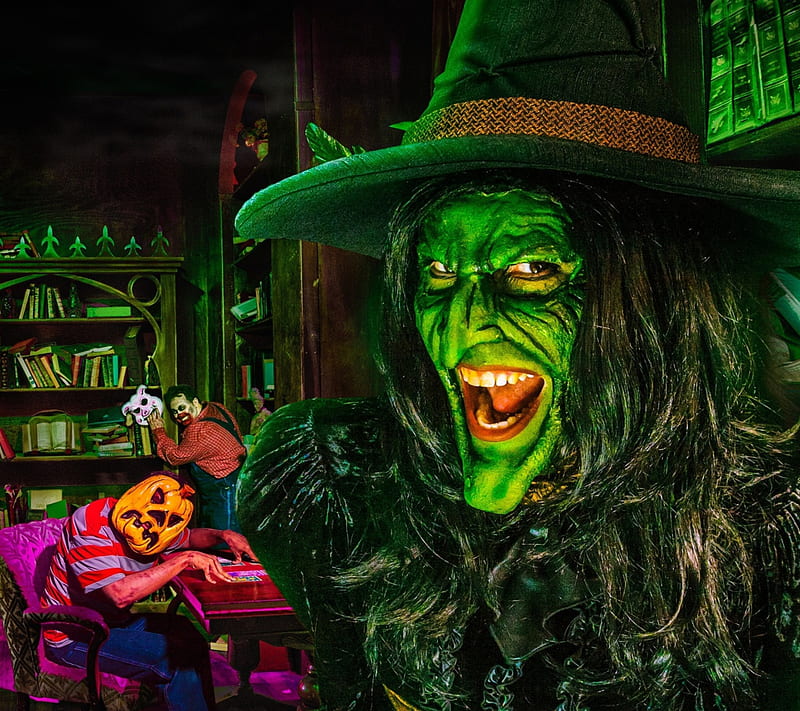 Wicked Witch, awesome, love, HD wallpaper