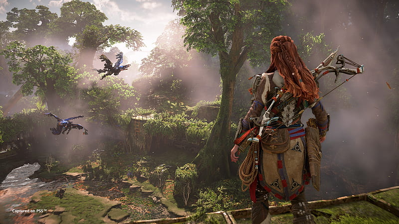 Video Game, Horizon Forbidden West, Aloy (Horizon Series), HD wallpaper ...