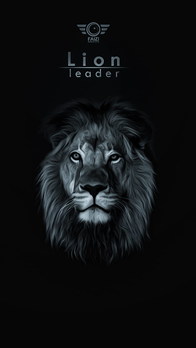 Lion , faizi creation, faizicreation, king, lion face, lions, HD phone wallpaper