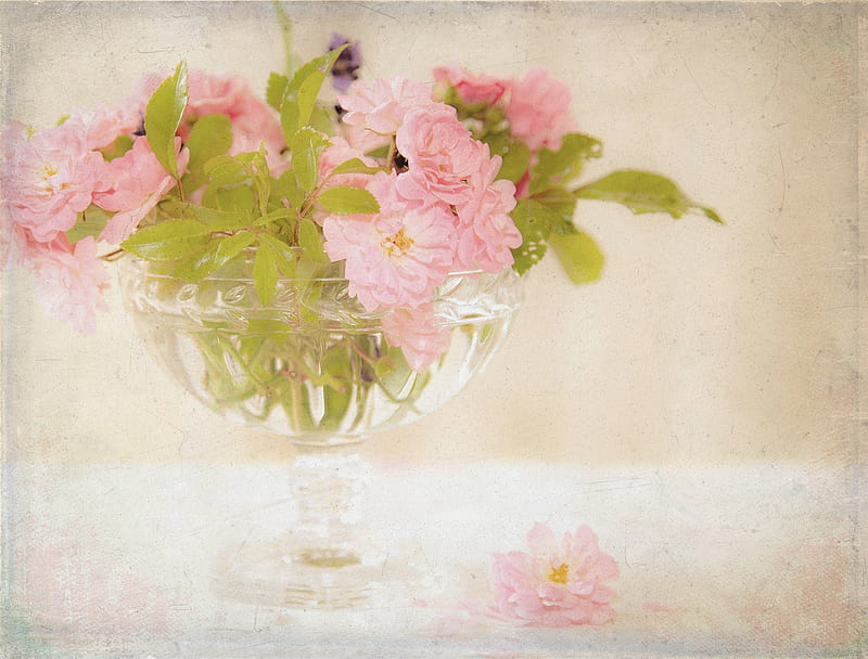 Still Life, decoration, home, vase, soft, flowers, beauty, pastel, pink ...