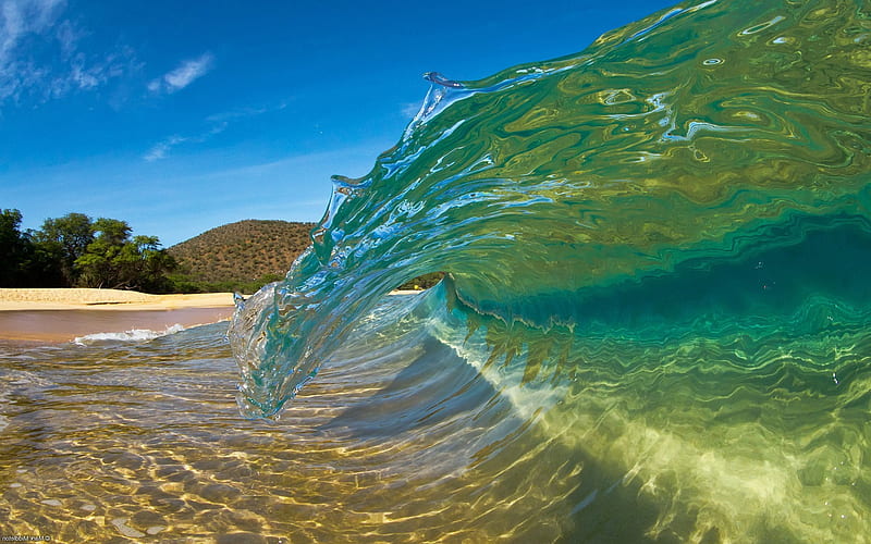 wave, tropical island, summer, vacation, travel, ocean, water, palm, beach, HD wallpaper