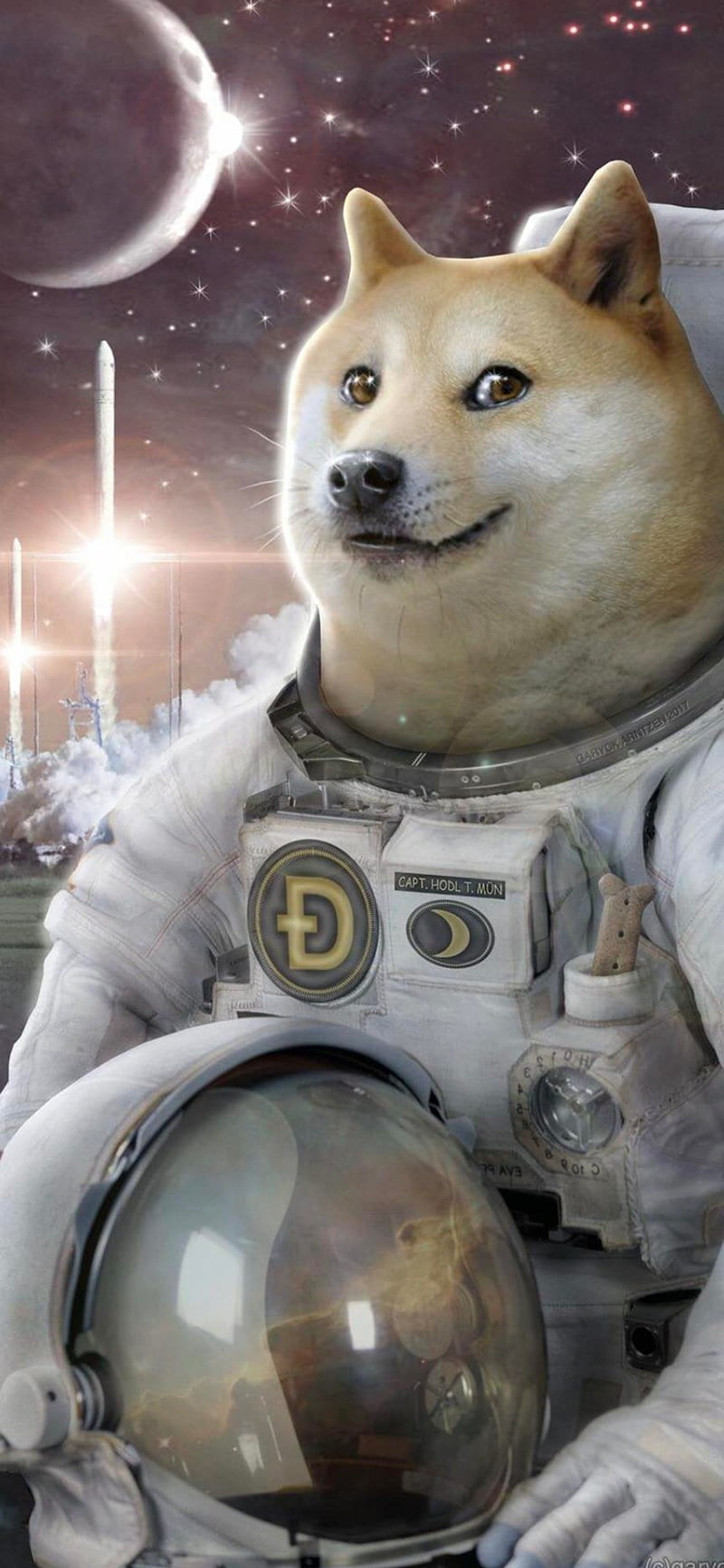 Dogecoin Moon, 2021, 2022, bitcoin, crypto, elon musk, ethereum, iasi, pascani, usa, HD phone wallpaper
