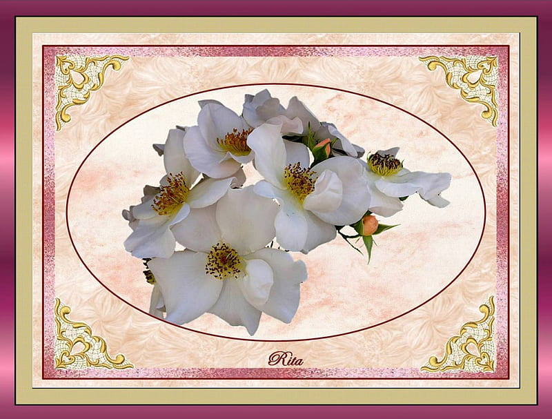 WHITE DOGWOOD ROSES, embellished, dogwood, roses, white, HD wallpaper