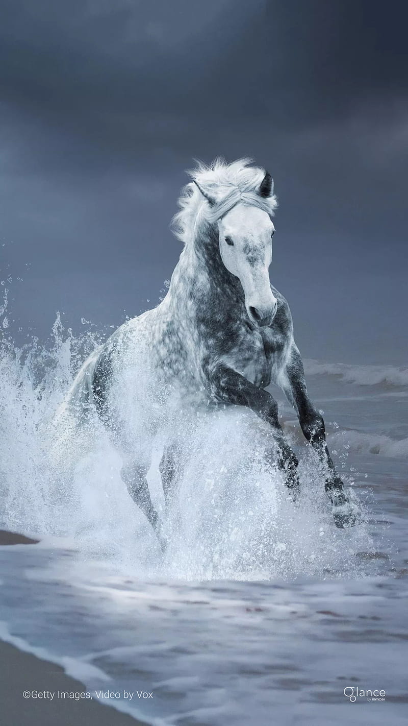 Wild Horse R Star, art, horses, snow, strong, theme, unicorn, wall, west, HD  phone wallpaper | Peakpx