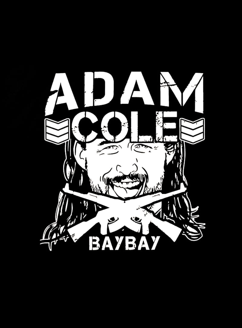 Adam Cole , adamn, aew, baybay, bullet, club, njpw, roh, wrestling, wwe, HD phone wallpaper