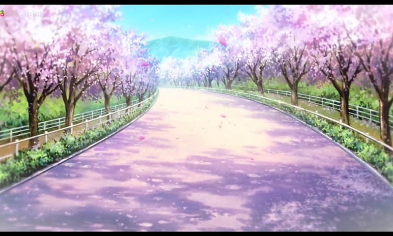 C: Blossom Path, pretty, scenic, sakura blossom, bonito, clannad, floral, cherry blossom, sweet, blossom, nice, anime, beauty, scenery, pink, road, sakura, lovely, sky, flower, petals, scene, HD wallpaper