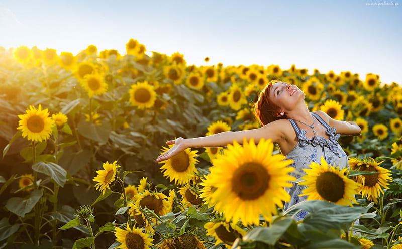 *Sunflower Joy*, yellow, bonito, woman, care, sunflowers, energetic, dreamer, bright, flowers, beauty, light, fresh, happiness, sunflower, smile, dom, peace, spring, joy, happy, energy, sunshine, nature, HD wallpaper