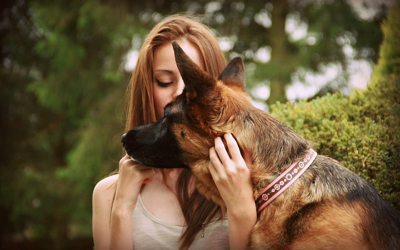 *** Girl with german shepherd ***, girl, animals, dogs, dog, animal, HD wallpaper