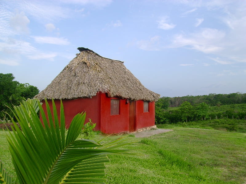 cabaña, mexico, edzna, reyescarrion, ecoturismo, cabana, nature, cabin, san pedro, HD wallpaper