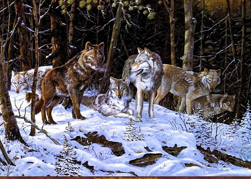 Phantoms of the Tamarack, snow, wolfpack, painting, wolves, artwork ...