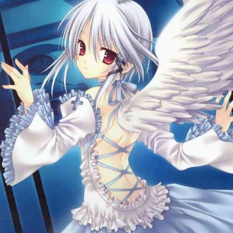 Divine Gate Anime Wikia | Fandom