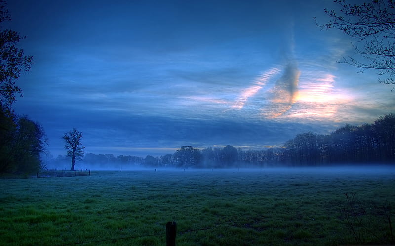 early morning mist-Nature, HD wallpaper