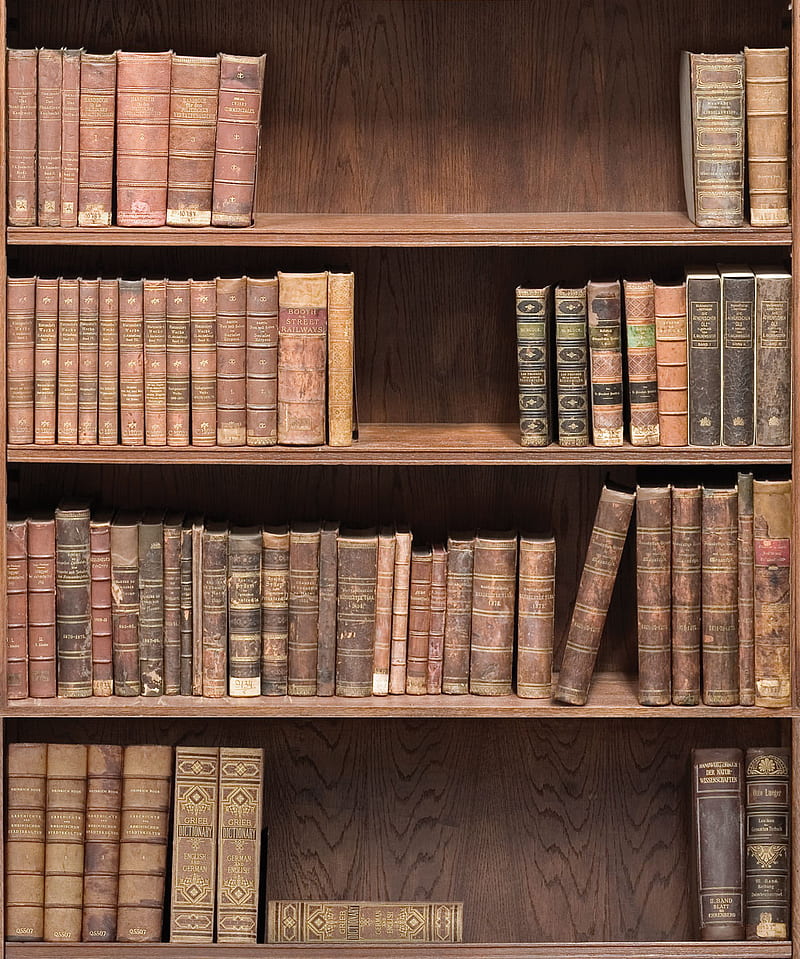 Bookshelf • Realistic Library Design • Milton & King EU, HD phone wallpaper