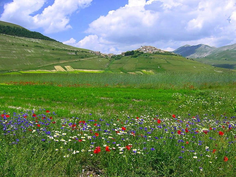Hermoso paisaje, paisaje, flores, naturaleza, colores, bonito, Fondo de pantalla HD | Peakpx Hermoso paisaje, paisaje, flores, naturaleza, colores, bonito, Fondo de pantalla HD | Peakpx