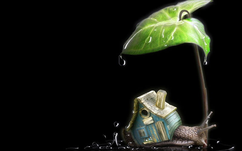 house, snail, black, abstract, fantasy, green, water drops, funny, rain, HD wallpaper