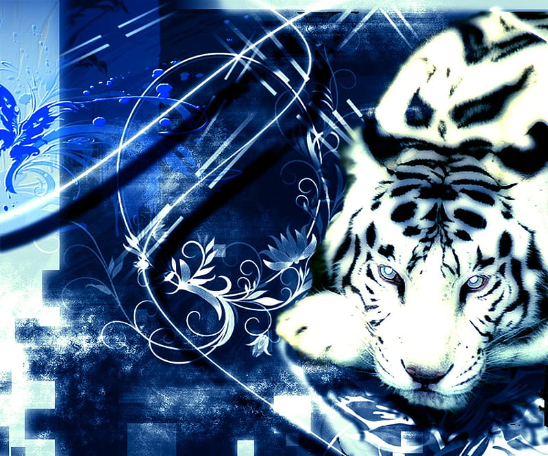 Tiger Dream, white tiger, art, tiger, cat, cats, animals, HD wallpaper