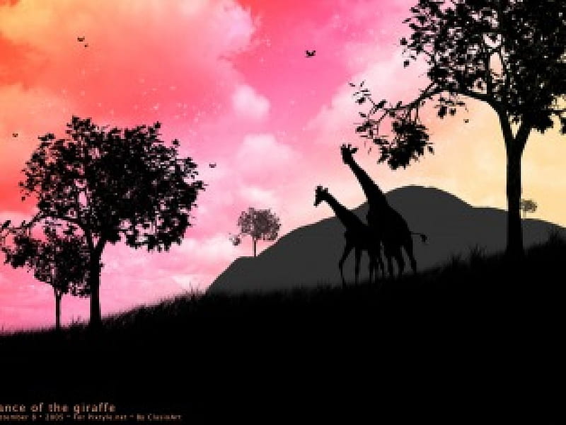 Dance of the Giraffe, fantasy, hurt, love, heart, hop, dream, imagination, HD wallpaper