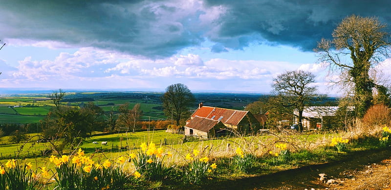Springtime In North Yorkshire, house, bonito, trees, sky, clouds, valley, sheep, flowers, fields, green grass, HD wallpaper