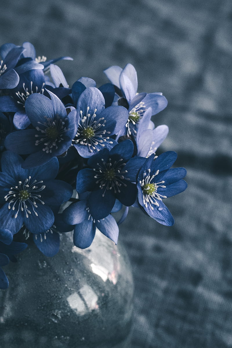 flowers, spring, bouquet, macro, HD phone wallpaper
