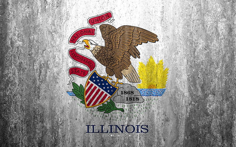 Flag of Illinois stone background, American state, grunge flag, Illinois flag, USA, grunge art, Illinois, flags of US states, HD wallpaper
