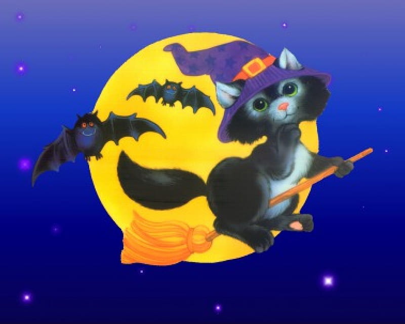 Black Cat Wizard, night sky, hallowween, bats, full moon, black cat, broom, wizard, HD wallpaper