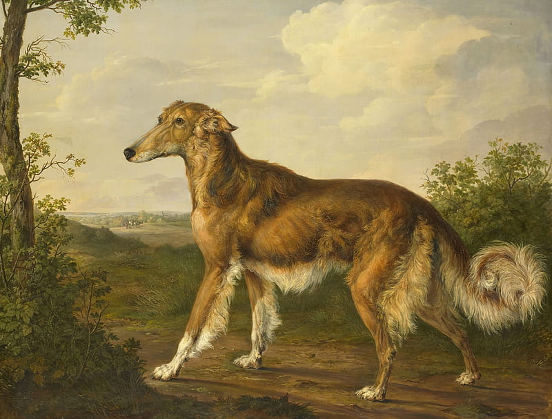 Siberian Greyhound, art, painting, caine, pictura, barzoi, dog, jan dasveldt, HD wallpaper