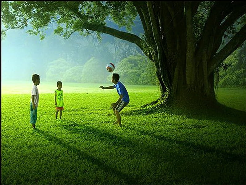 Neath the shade, tree, grass, sunlight, shade, children, play, HD wallpaper
